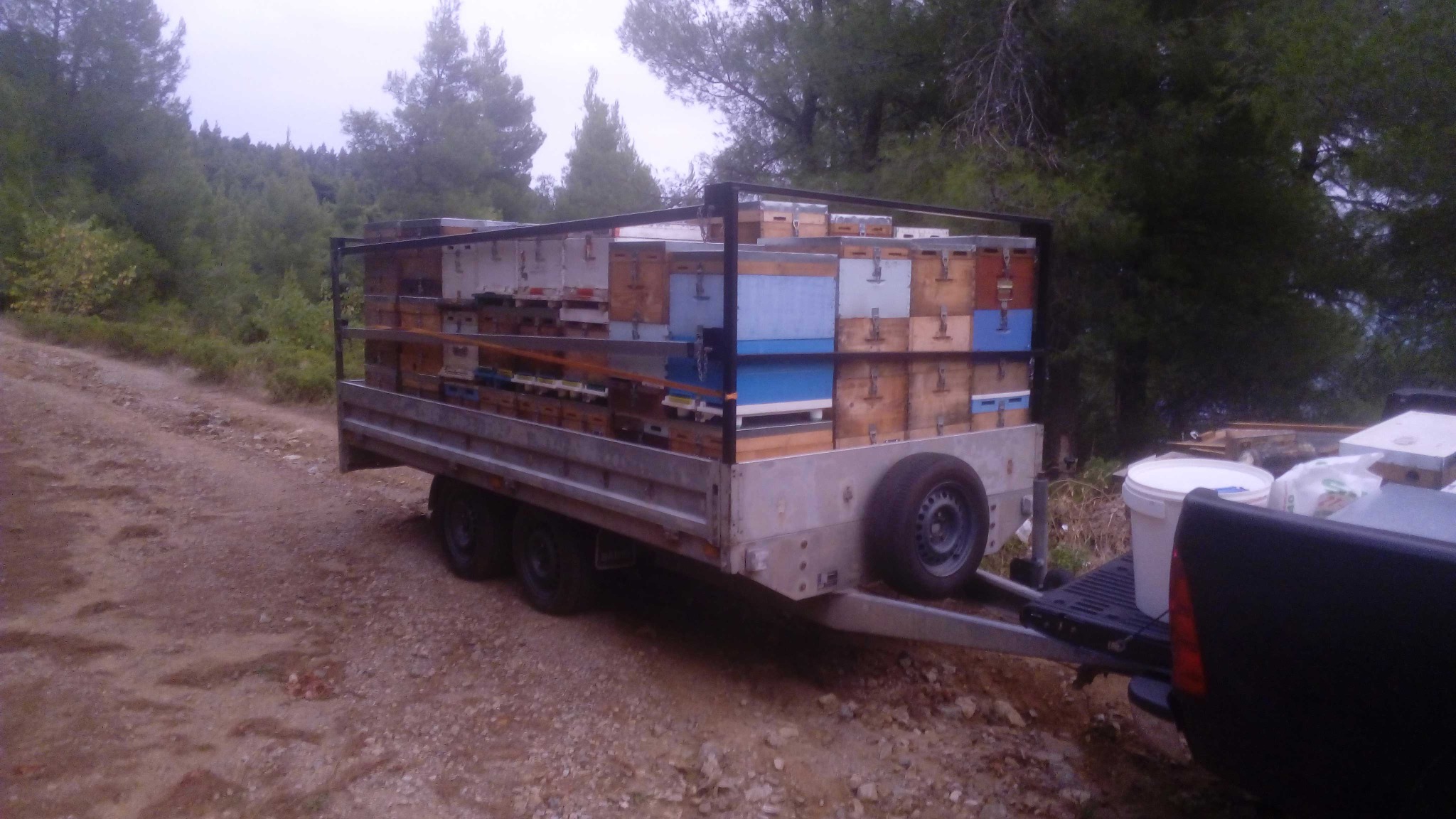 Μεταφορά κυψελών σε τρέιλερ